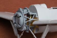 Brewster F2A Buffalo wheel bay set